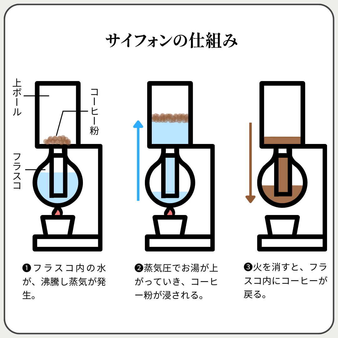 天然木材で味わう至福のコーヒーサイフォン『SERENAVA』